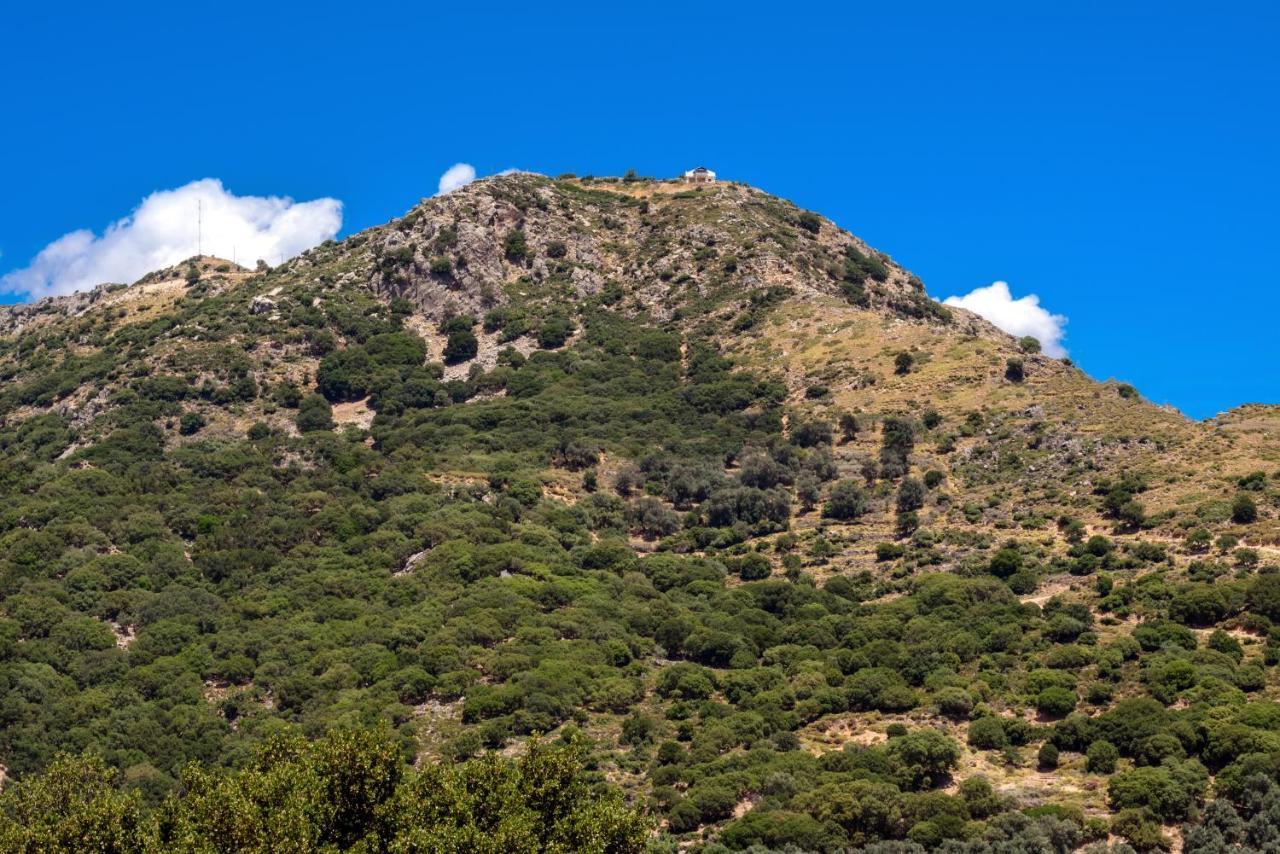 Best View Mountain Villa Teménia Dış mekan fotoğraf